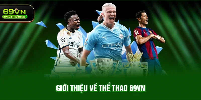 Giới thiệu về Thể thao 69VN